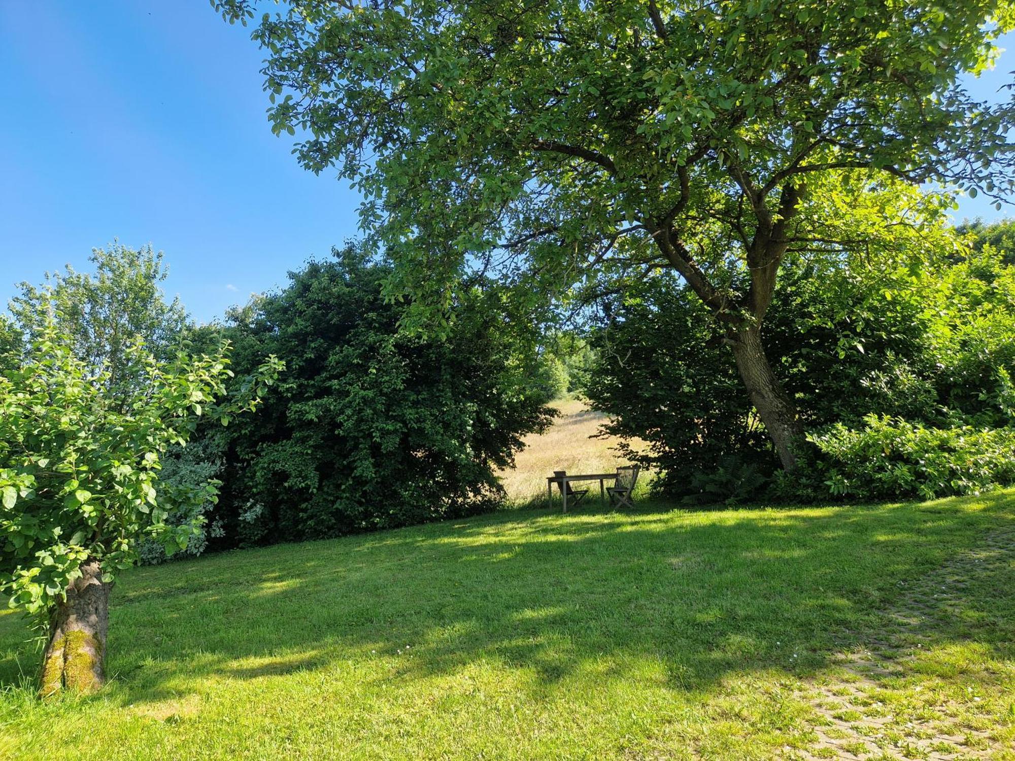 Ferienhaus Berghausen Am Hennesee ميشيده المظهر الخارجي الصورة